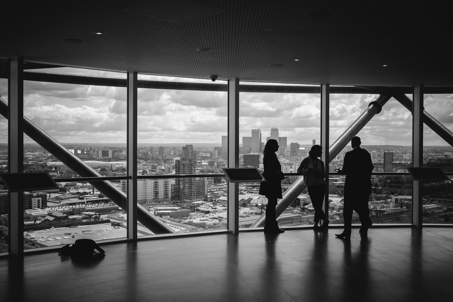 The Role of Neuroscience in Leadership Development